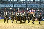 Cavalry - 00290